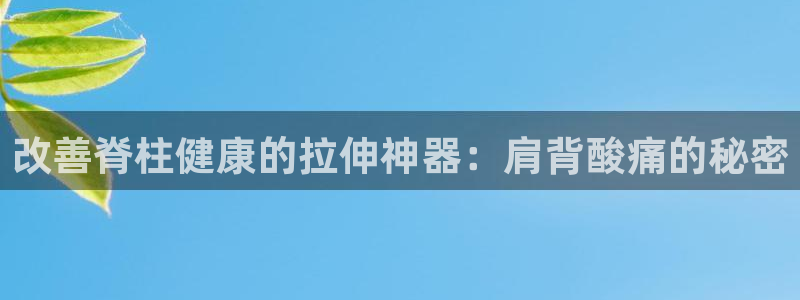 意昂体育3平台：改善脊柱健康的拉伸神器：肩背酸痛的秘