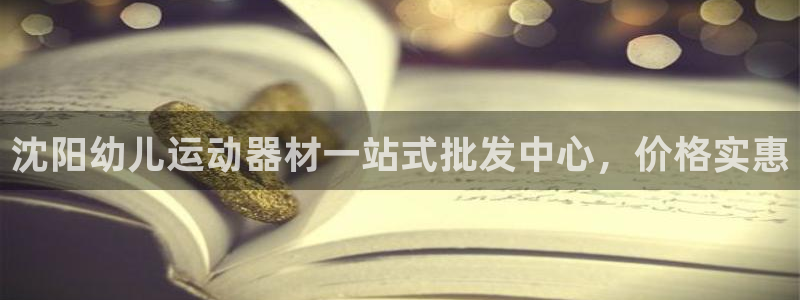 意昂体育3平台：沈阳幼儿运动器材一站式批发中心，价格