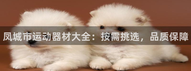 意昂体育3平台是正规平台吗:凤城市运动器材大全:按需挑选,品